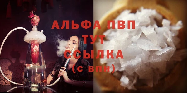 гидра Гусев
