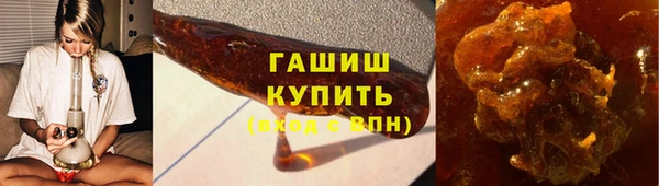гидра Гусев