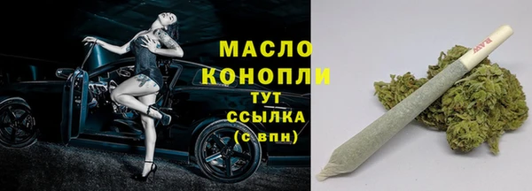 гидра Гусев