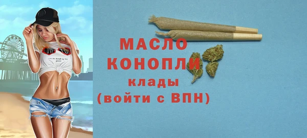 гидра Гусев