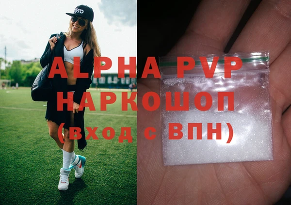 гидра Гусев