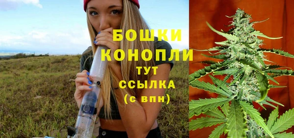 гидра Гусев