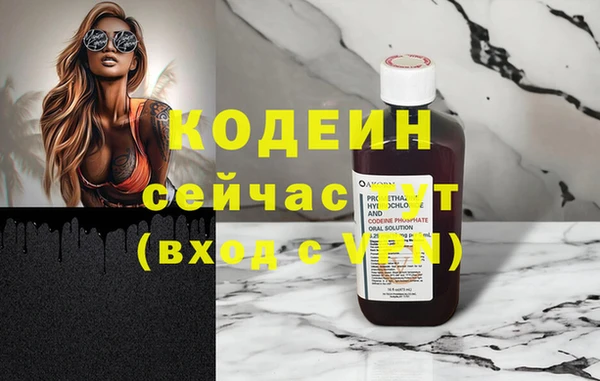 гидра Гусев