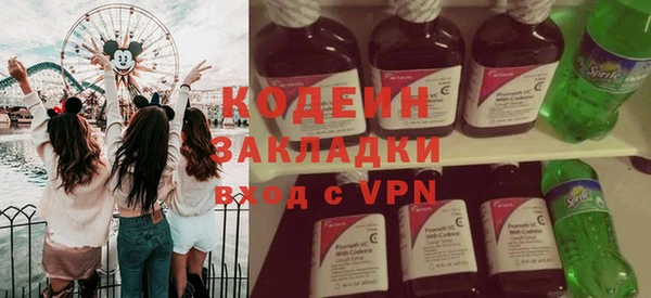 гидра Гусев