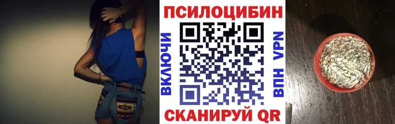 Галлюциногенные грибы Magic Shrooms  Купить  Шилка 